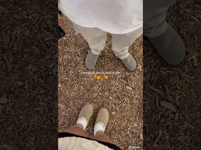 This was our first pumpkin patch ever and we loved it  #shorts #pumpkinpatch #datenight #fall