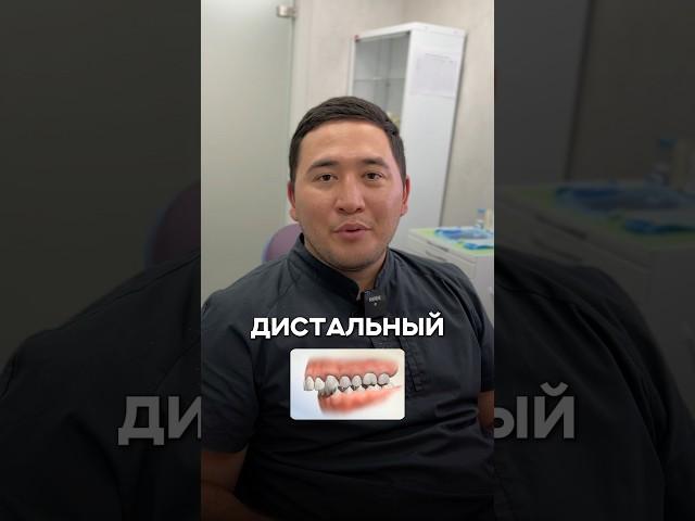 Чем опасен дистальный прикус #стоматологмосква #зубы #брекетымосква #брекеты #прикус #стоматология