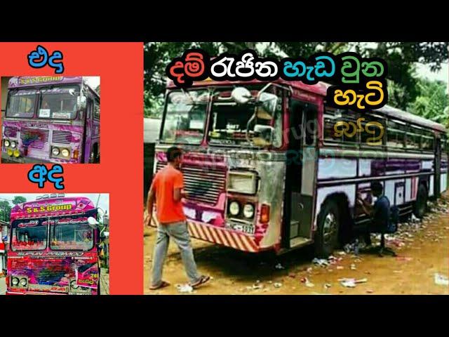 දම් රැජින හැදුන හැටි | දම් රැජින |dam rajina old and now