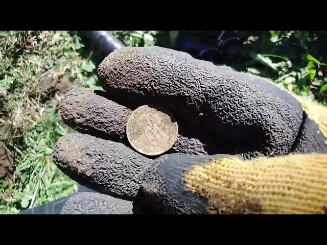 búsqueda de monedas en placilla