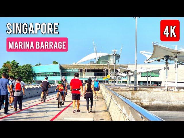 Singapore Marina Barrage | Newly opened Kingfisher Wetlands @ Gardens by the Bay