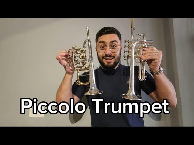 Piccolo Trumpet | Daniel Leal - Qual a diferença entre eles?