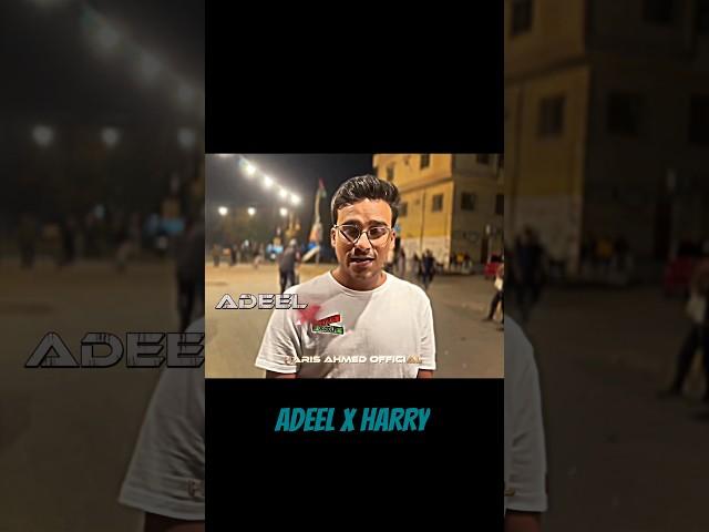 Adeel Vlogs x Haris Official #shorts #cricket #sixes #adeelvlogs