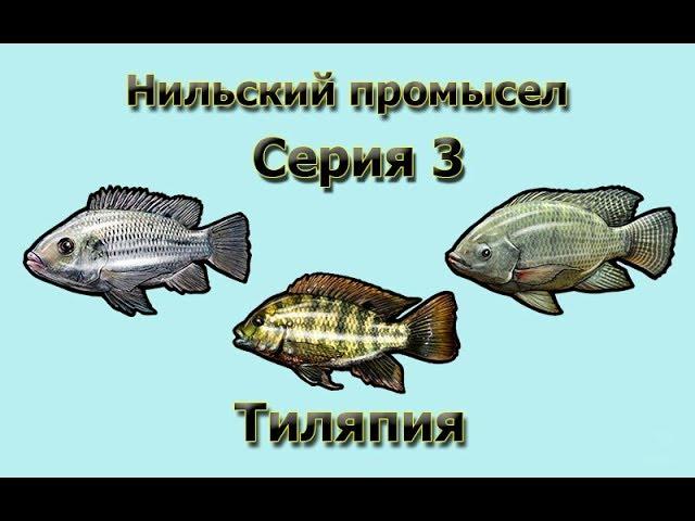 Русская Рыбалка 3.99 (Russian Fishing) Нильский промысел 3 - Тиляпия