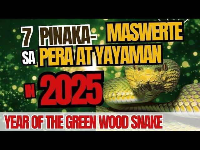 7 Luckiest Chinese ZODIAC Pinaka-MASWERTE YAYAMAN SA 2025! #2025ChineseHOROSCOPE #luckyzodiacsigns