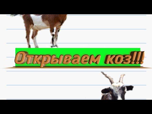 Как открыть всех коз в Гоатвилле?|Goat simulator.