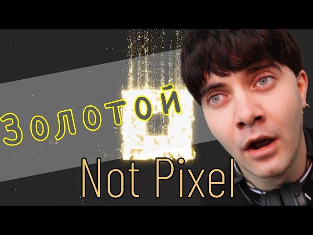 Золотой Not Pixel? Скоро начнётся МЕГА ФАРМ