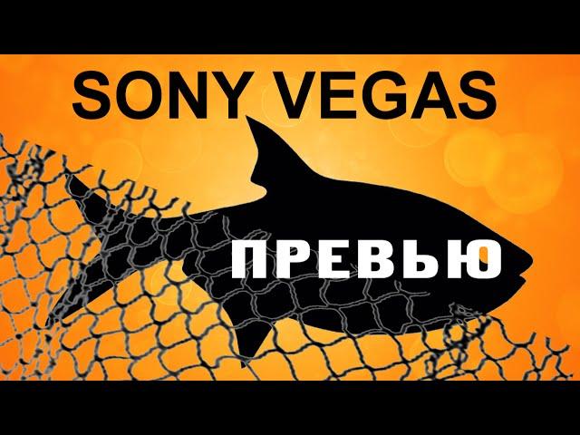 Как сделать картинку для видео. Создать превью в Sony Vegas. Уроки видеомонтажа