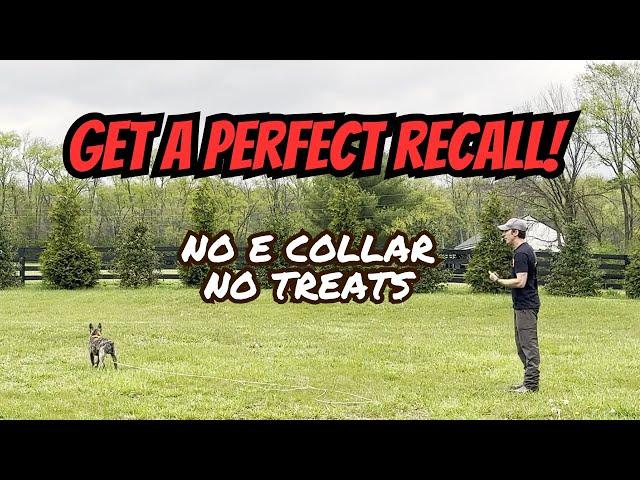 THIS Is How To Get a PERFECT Recall With Your Dog