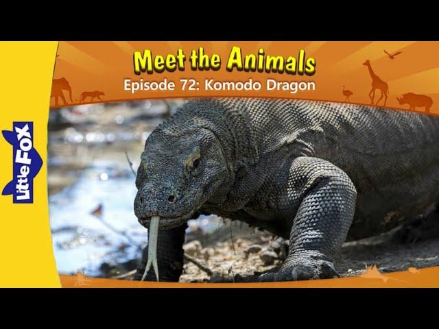 Meet the animals 72 | Komodo Dragon | Wild animals | Animated stories For kids