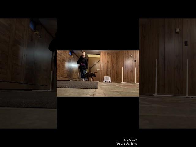 Ellie NW101S Week 4: after it’s your choice warm up intro interiors