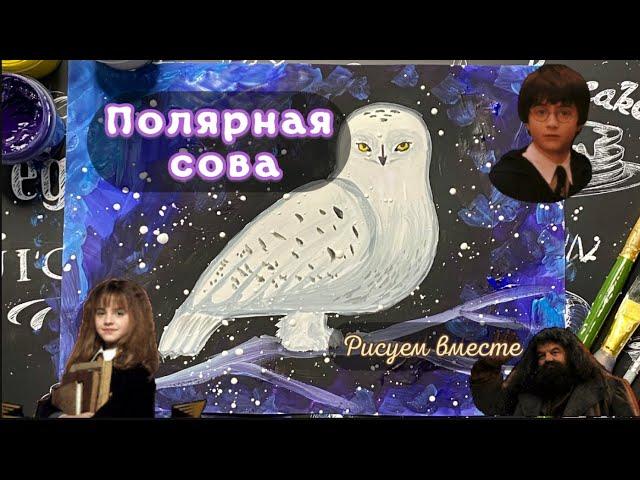 Рисуем полярную сову. Сова Букля. Сова Гарри Поттера. Рисуем пошагово.