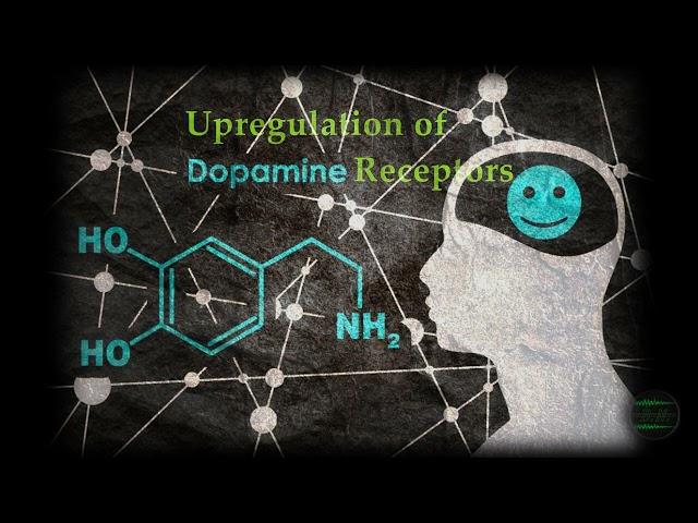 Upregulation of Dopamine Receptors - Dopamine Detox | Healing Frequencies