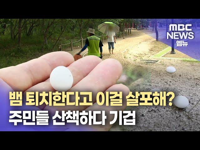 뱀 퇴치한다며 산책로에 나프탈렌 살포(2025.06.16/뉴스데스크/MBC경남)