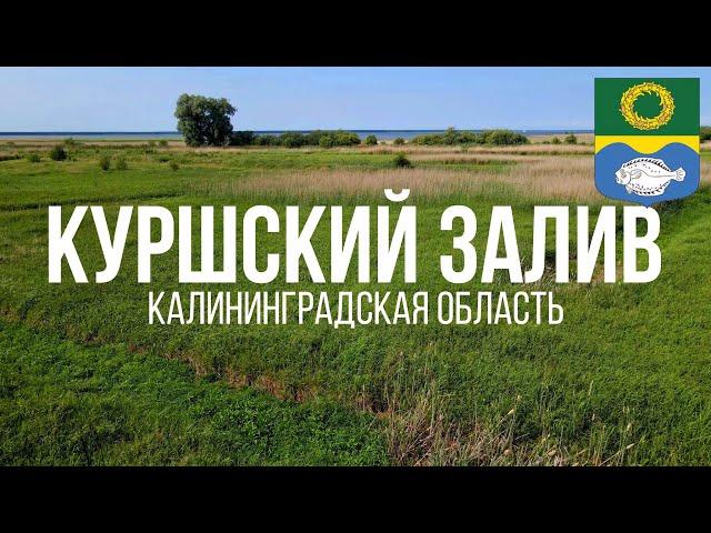 4K. Куршский залив. Зеленоградский район. Калининградская область