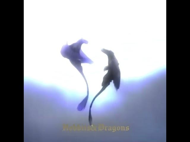 Httyd | Toothless & Light fury edit #subscribe #shorts #httyd #httydedits #toothless #lightfury