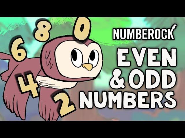 Even and Odd Numbers Song for Kids | Odds and Evens for Grades 2 & 3