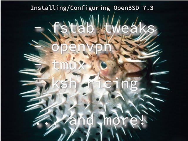 OpenBSD 7.4  install/config (Part 4):   fstab, openvpn, tmux, ksh prompt, and more