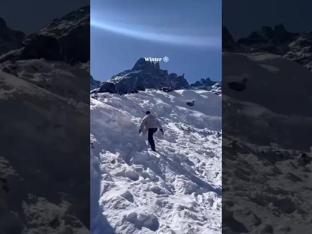 Winter is the season to love #winter #winterdestinations #travelshorts #snowfall