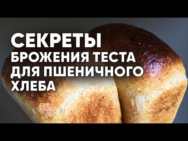 Все СЕКРЕТЫ правильного БРОЖЕНИЯ ТЕСТА для выпечки формового ПШЕНИЧНОГО ХЛЕБА