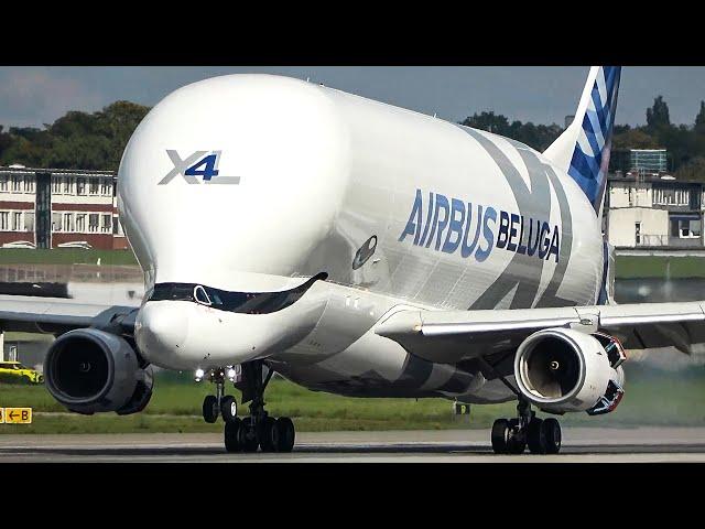 AIRBUS BELUGA XL LANDING and Departure - THE FLYING WHALE (4K)