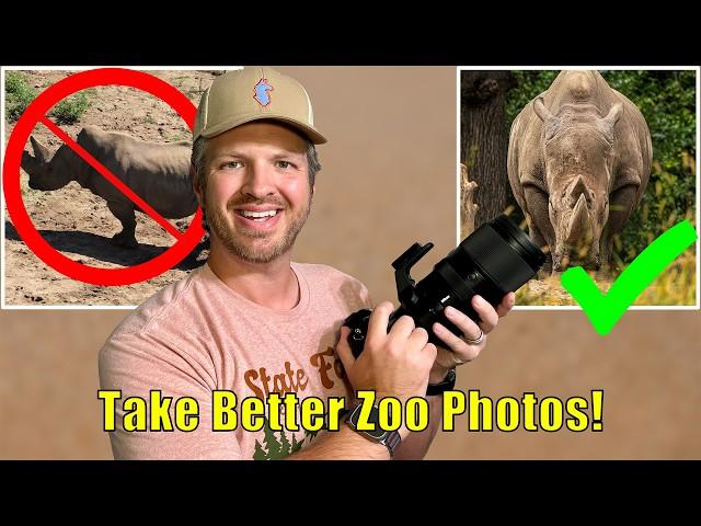 11 Secrets to Stunning Zoo Photography