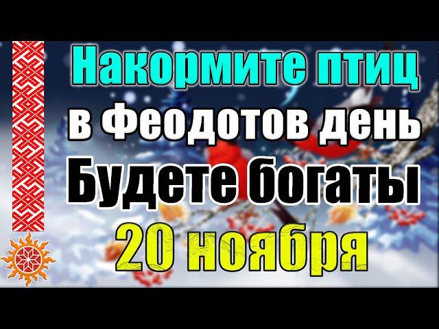 20 ноября по народному календарю день Феодота Ледостава Анкирского. Чего нельзя делать. Приметы