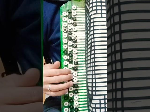 МЕЛИЗМЫ НА БАЯНЕ #кариммуратов #баянпобратски #баян