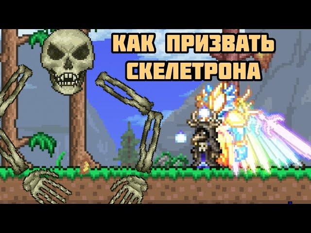 Как призвать скелетрона в Terraria!