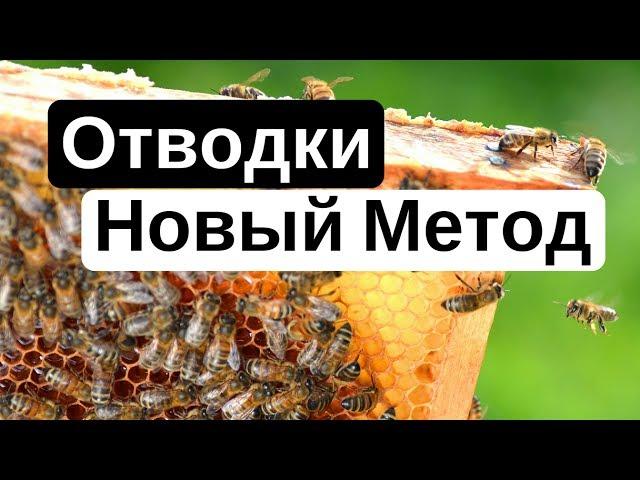 Пасека #18 Как сделать отводок пчел (Пчеловодство) - новое Пчелиный эксперимент 2 ( Новый Метод )