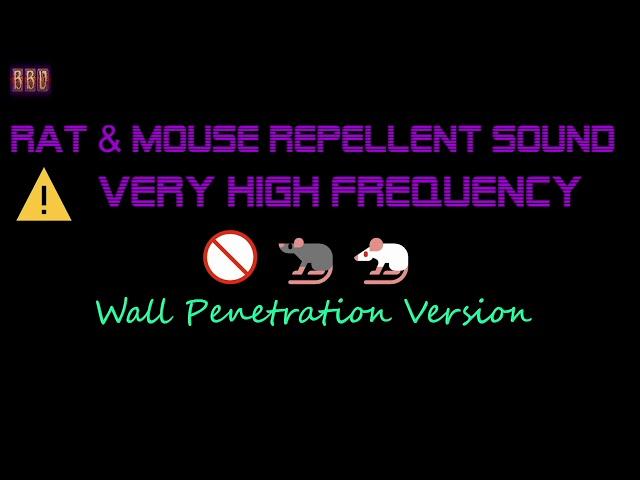 ️(Wall Penetration Version)  Rat & Mouse Repellent Sound Very High Frequency (6 Hour)