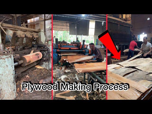 Plywood Making Process || Amazing Wood peeling Machine 🪵|| Saw Mill Plywood Working ||