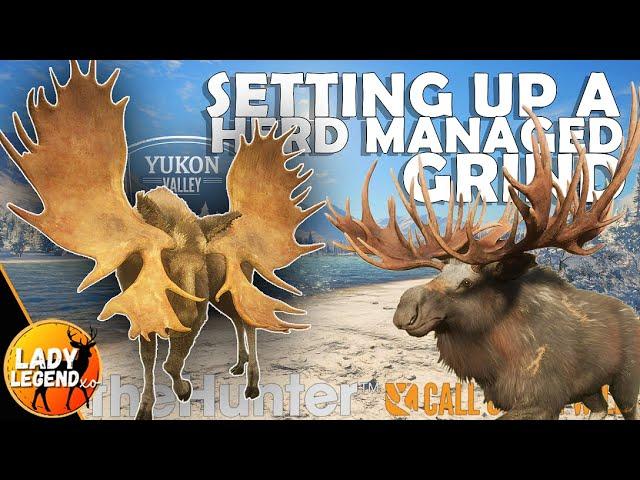 Set-Up a HERD MANAGED Grind for ANY SPECIES (feat. Yukon Moose)!!! - Call of the Wild