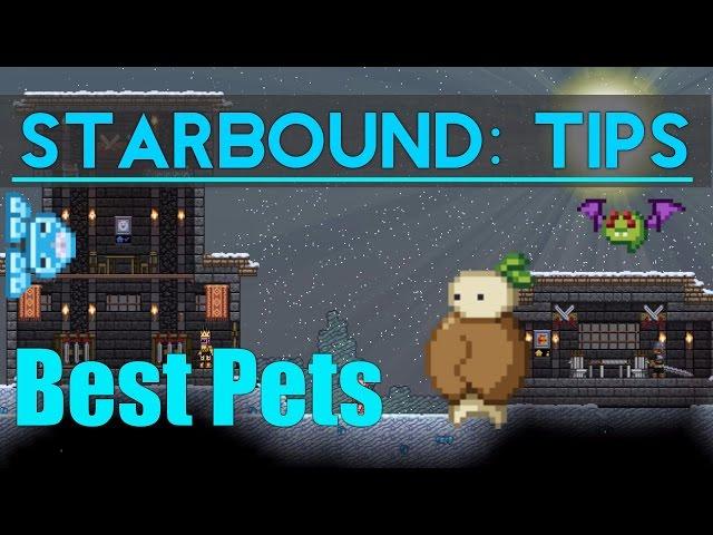 Starbound Tips: Best Pets