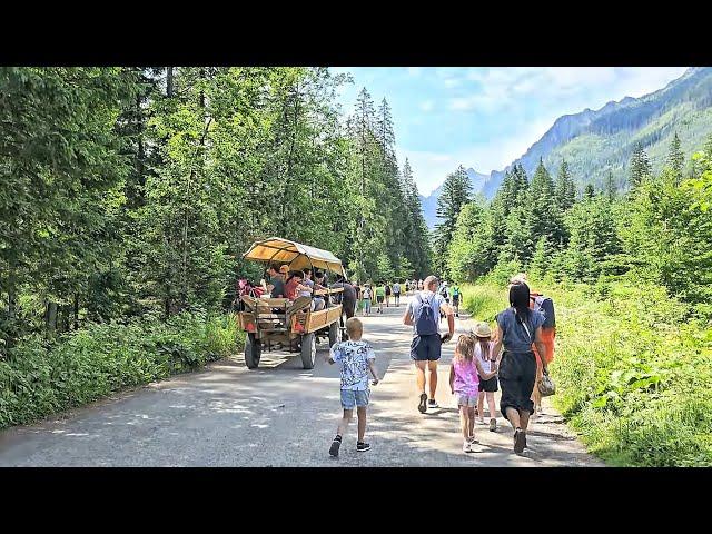 Morskie Oko. Droga z parkingu do Morskiego Oka (4K/60 HDR10+)