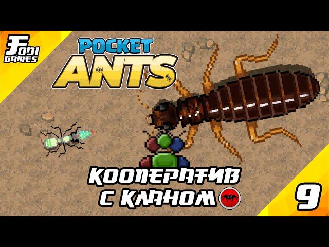 POCKET ANTS #9 - КООПЕРАТИВНАЯ БИТВА С КЛАНОМ В ГНЕЗДЕ ТЕРМИТОВ