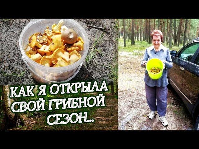 Латвия. Как я в этом году открыла свой грибной сезон