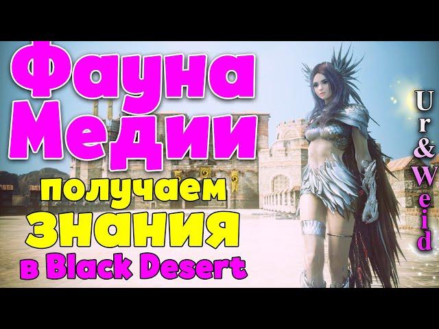 Фауна Медии в Black Desert: получаем знания