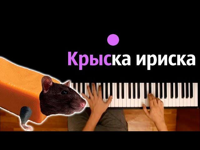  Крыска-ириска, кот-бутерброд, авокадо-бегемот ● караоке | PIANO_KARAOKE ● ᴴᴰ + НОТЫ & MIDI