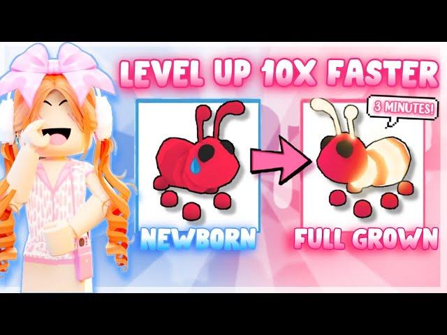  BEST TIPS TO LEVEL UP PETS 10X FASTER! 2024