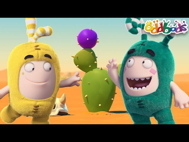 Oddbods Adventures | 4 Hours! | Full Episodes | Oddbods | Cartoons for Kids