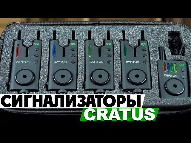 Обзор сигнализаторов для карповой ловли Carp Pro Cratus 3+1/4+1