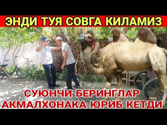 СУЮНЧИ АКМАЛХОН АКА ЮРИБ КЕТДИ УРА БИЗ БУНИ УДДАЛАДИК 2023(Охунов тв)