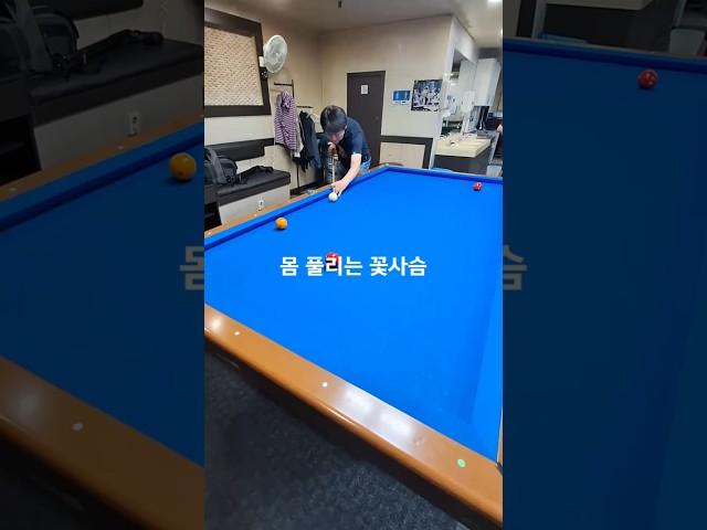 몸 풀리는 꽃사슴