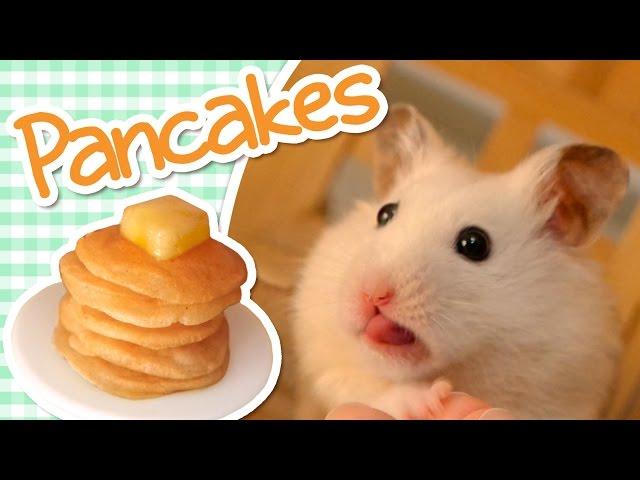  Pancakes | HAMSTER KITCHEN 