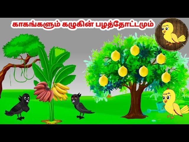 கார்ட்டூன் 15/09/24 | Feel good stories in Tamil | Tamil moral stories | Beauty Birds stories Tamil