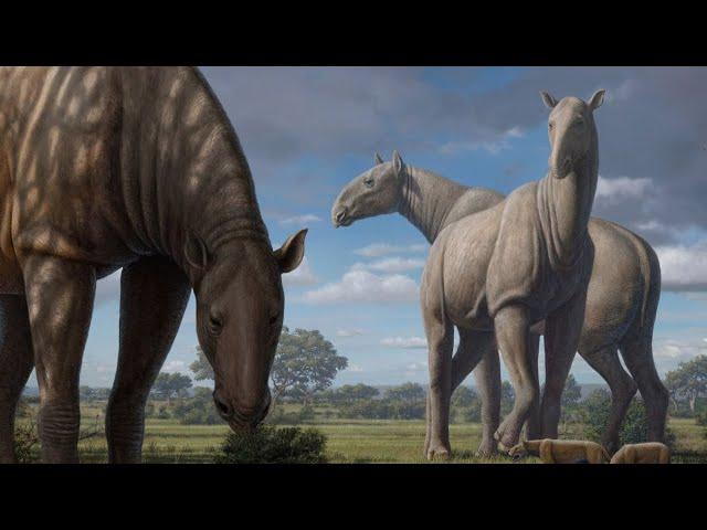 When Rhinos Were Bigger Than Dinosaurs