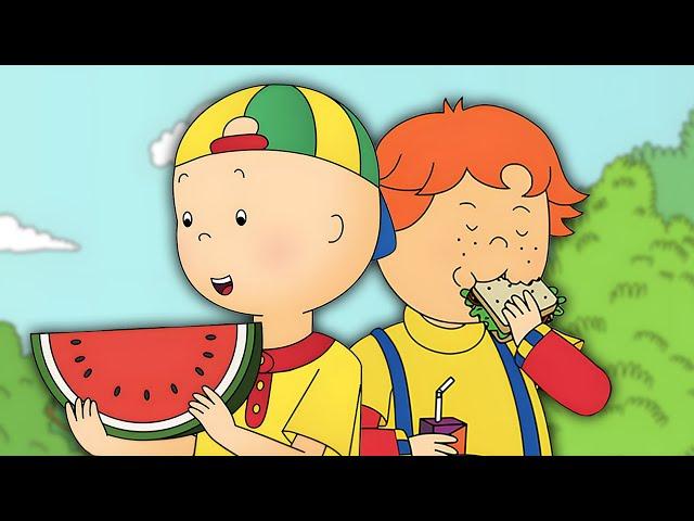 Caillou Has a Picnic | Caillou - WildBrain