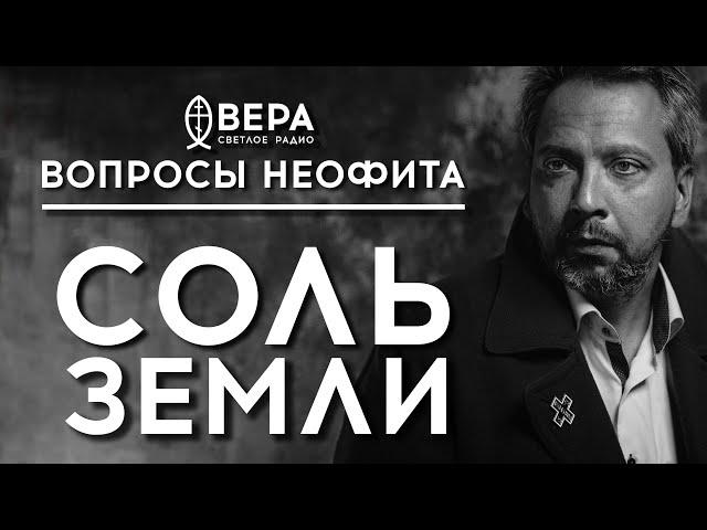 ЧТО ТАКОЕ «СОЛЬ ЗЕМЛИ»? | ИЕРОМОНАХ МАКАРИЙ (МАРКИШ) | ВОПРОСЫ НЕОФИТА | АЛЕКСАНДР АНАНЬЕВ |