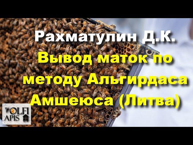 #Рахматулин Д.К. Вывод маток по методу Альгирдаса Амшеюса (Литва)